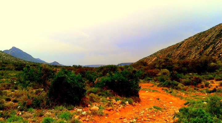 Oudekloof Guest House