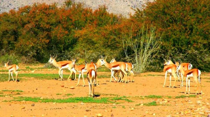 Oudekloof Guest House