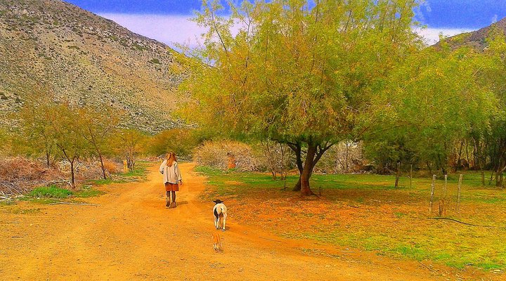 Oudekloof Guest House