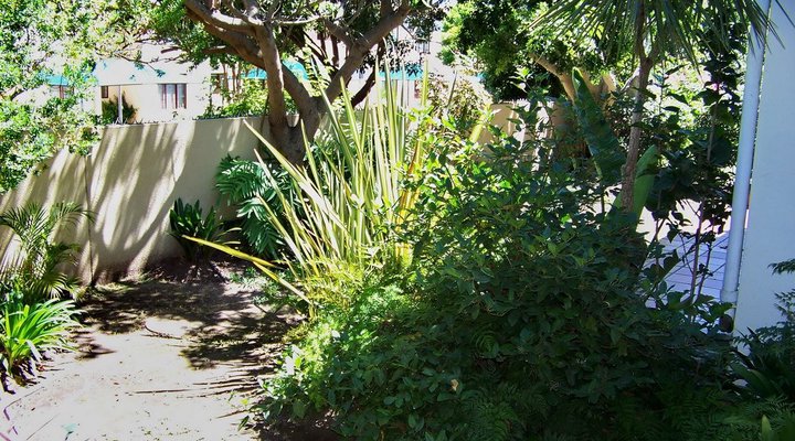 Plett Ground Floor Apartment