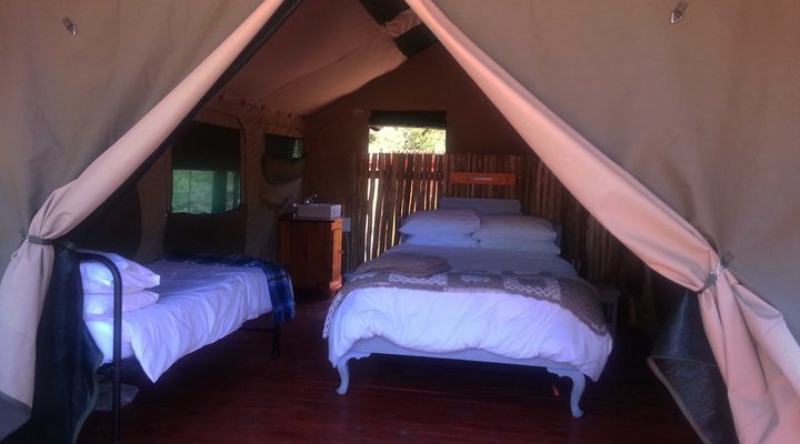 Thorn Tree Bush Camp