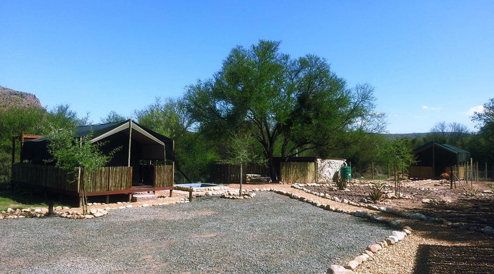Thorn Tree Bush Camp