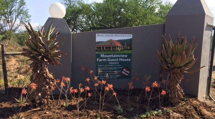 Mountain View Country Guest House