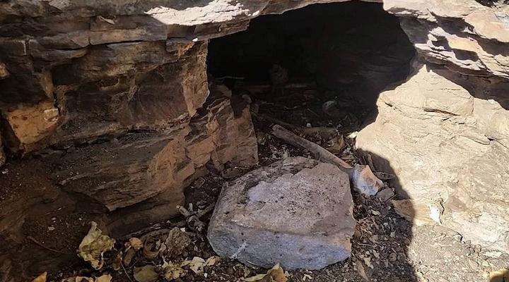 The Mule and Hound Mountain Retreat