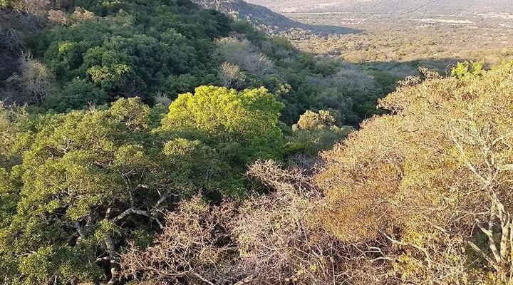 The Mule and Hound Mountain Retreat