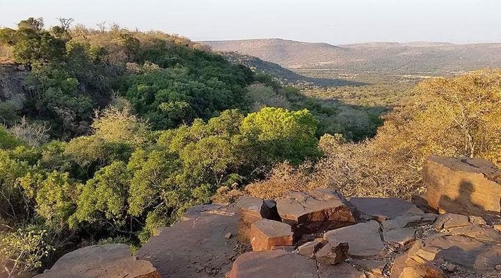 The Mule and Hound Mountain Retreat