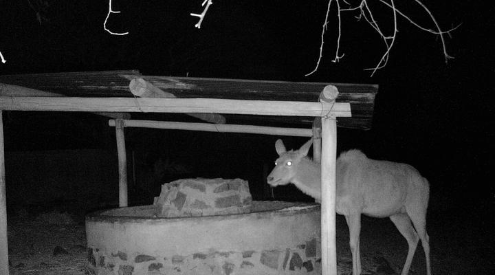 The Mule and Hound Mountain Retreat