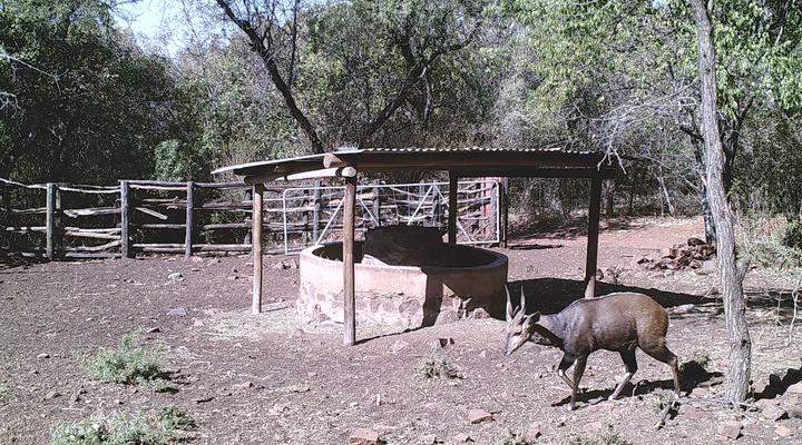 The Mule and Hound Mountain Retreat