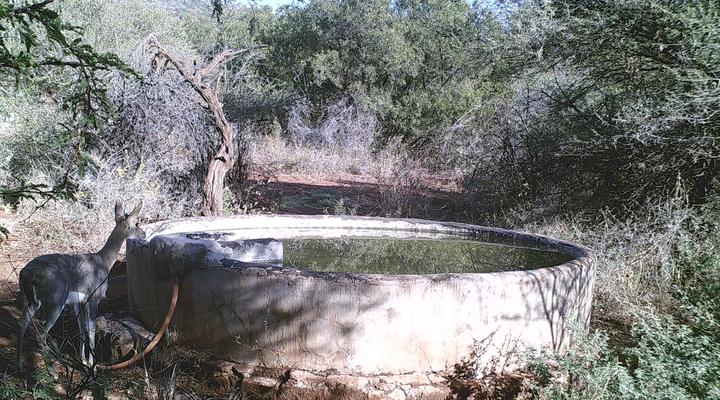 The Mule and Hound Mountain Retreat