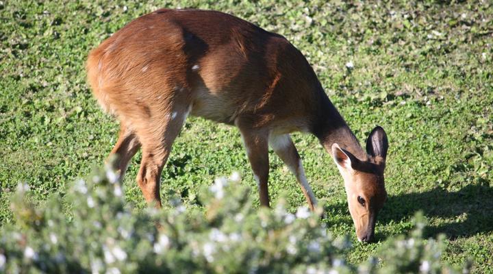 BrownToes/Bruintoon Vacation Home