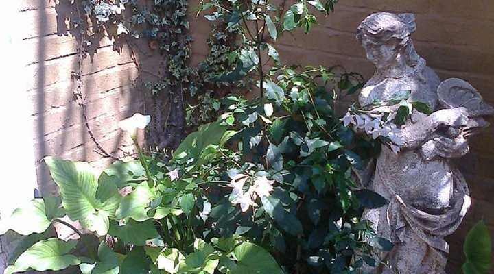 Ons Spens Guest House