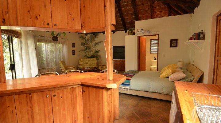 Thatched Studio Melkbos