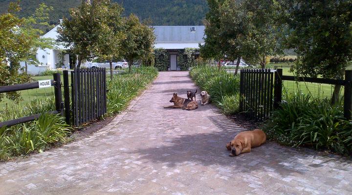 Kurlandpark Accommodation