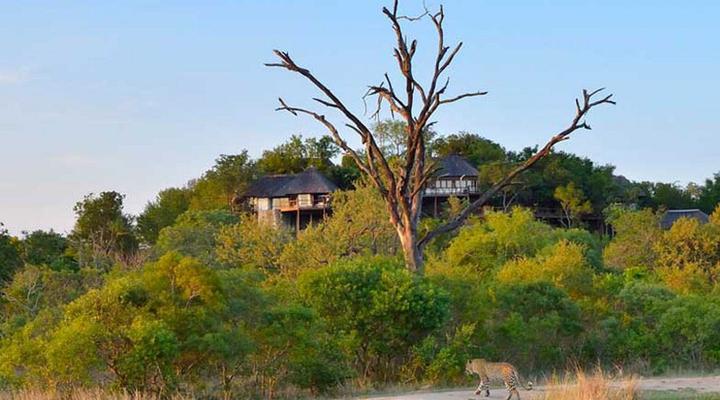 Leopard Hills Private Game Reserve