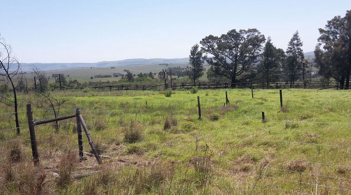 Stutt Budget accommodation