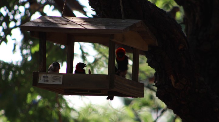 Glenvista Executive Guest House