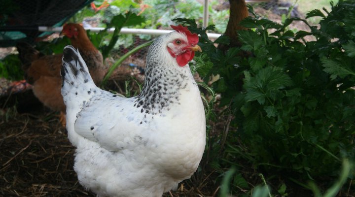 Numbi Valley De Rust Farmstay