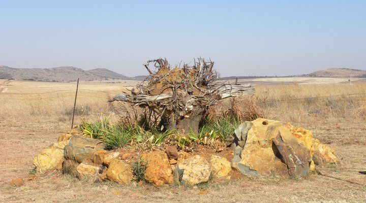 Malonjeni Guest Farm 