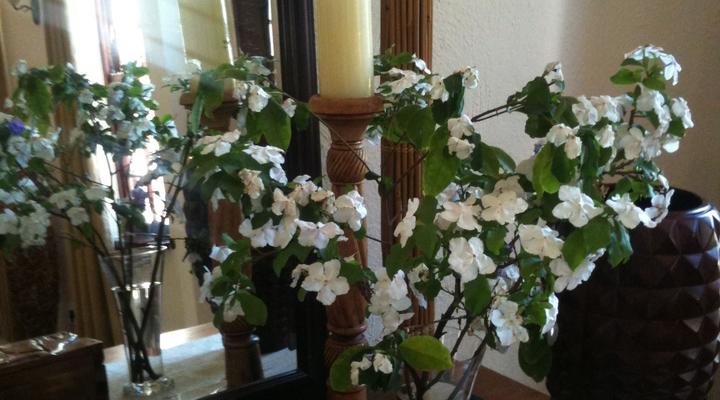 Hallbury Estate Bed and Breakfast