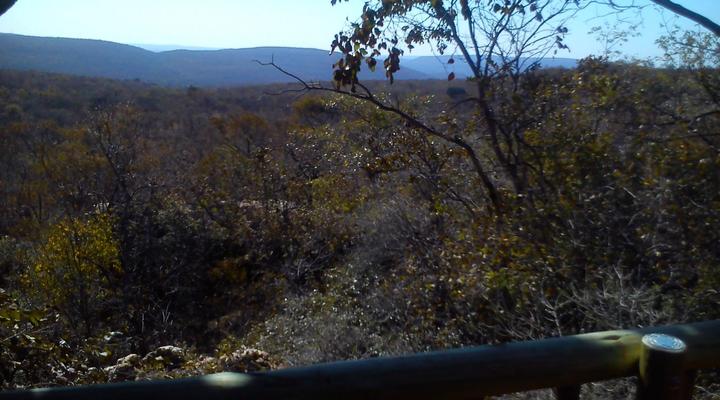 Madikela Game Lodge
