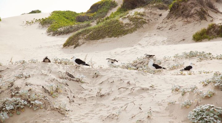 Nautilus Beach House