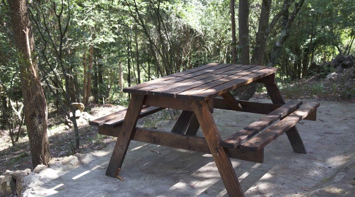 Black Forest Mountain Lodge