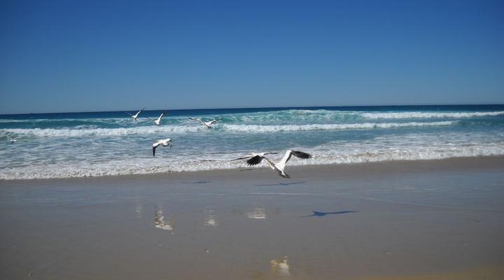 Sandown Self-catering