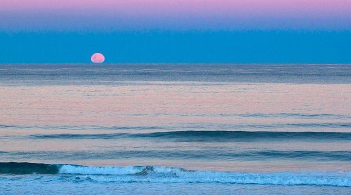 Sandown Self-catering