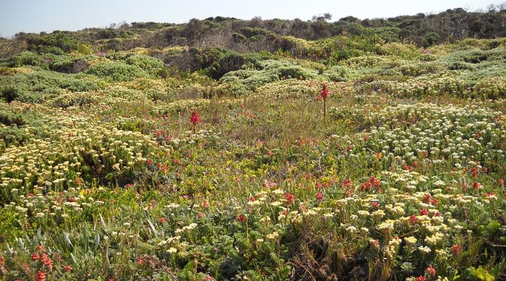 Sandown Self-catering