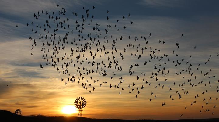 Assendelft Lodge and Bush Camp