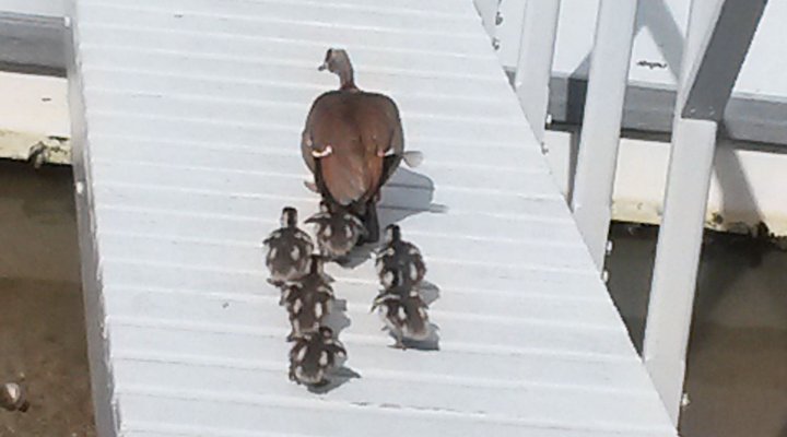 35 Sealords Way