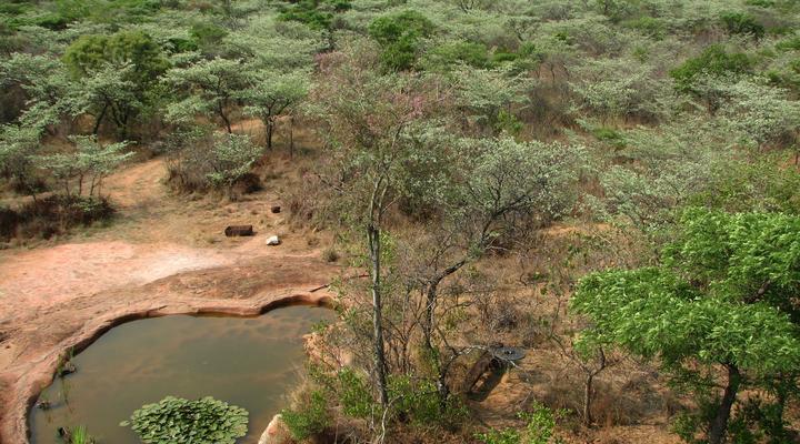 Phumuza Bush Lodge