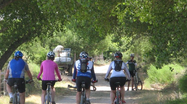 Lowlands Country House