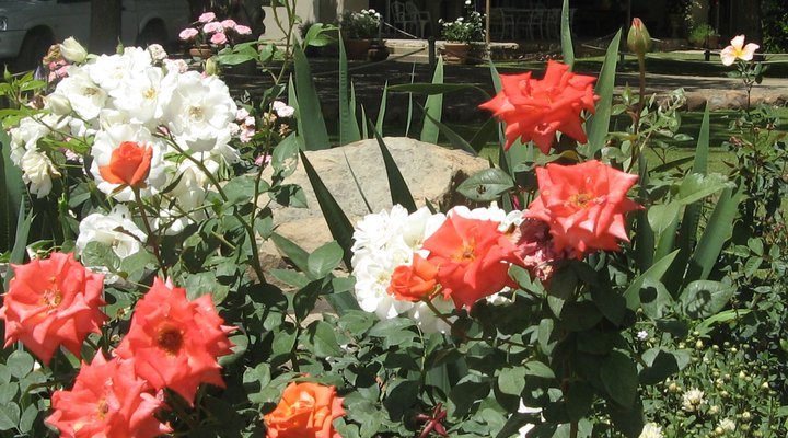 Lowlands Country House