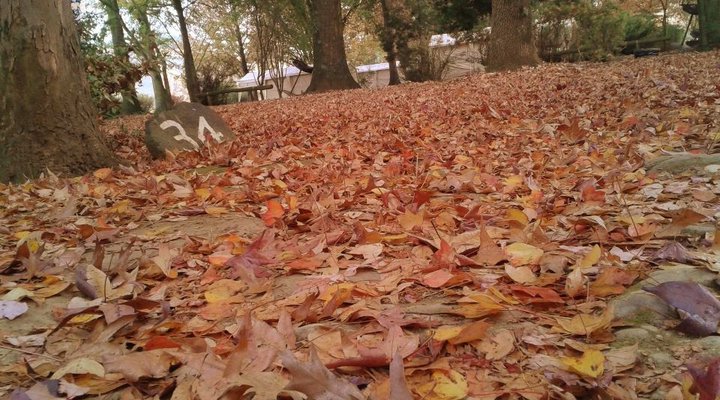 Mountain Splendour Eco-Resort