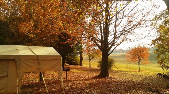 Mountain Splendour Eco-Resort