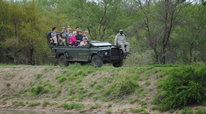 Gomo Gomo Game Lodge