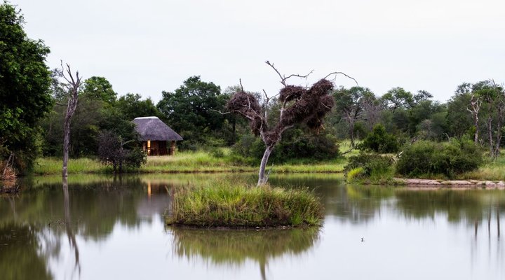 Gomo Gomo Game Lodge