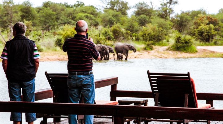Gomo Gomo Game Lodge