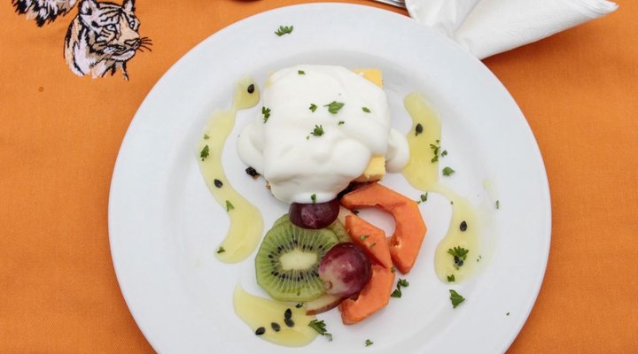 Gomo Gomo Game Lodge