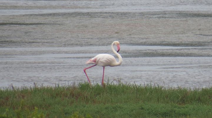 Rivers Edge Guesthouse