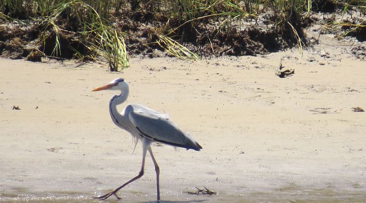 Rivers Edge Guesthouse