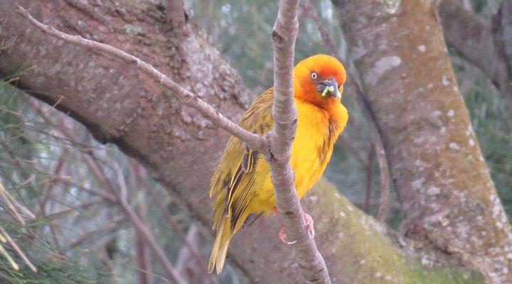 Rivers Edge Guesthouse