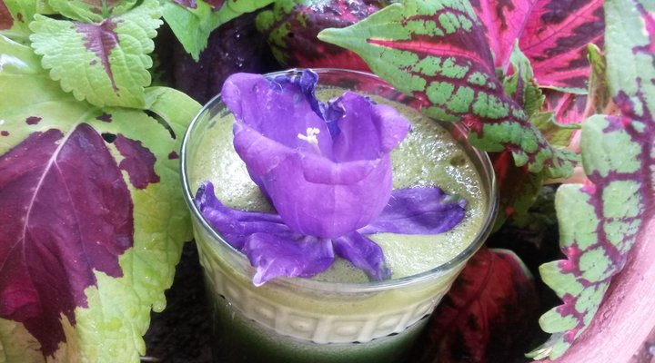 A Leopard Lily Bed and Breakfast