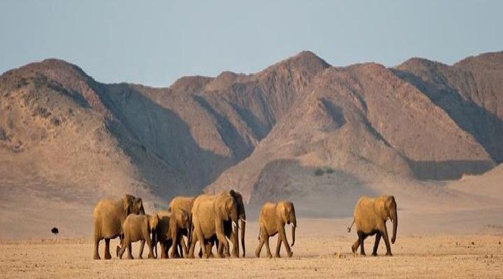 9 Night Culture & Wildlife in Northeastern Namibia Package