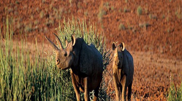 16 Night Namibia Adventure Package