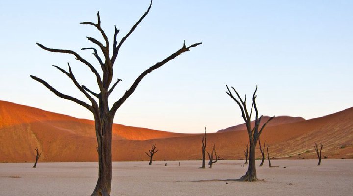 14 Night Splendid Desert of Namibia Package