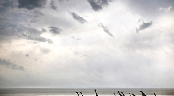 11 Night Discover Kaokoland Package