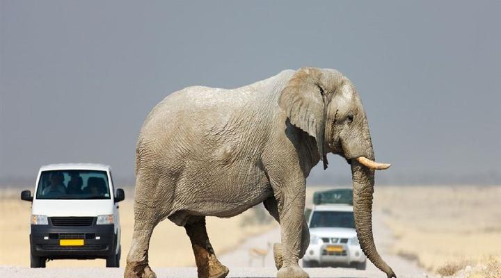 6 Night Kaokoland & Kunene River Package