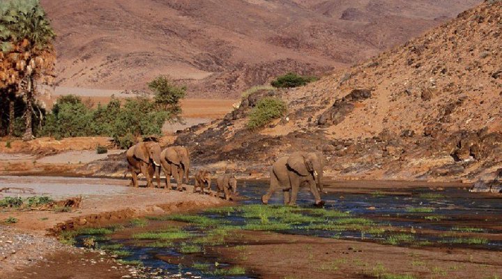 13 Night Skeleton Coast Kaokoland Encounter